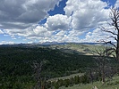 photo thumbnail #3