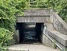 photo thumbnail #11