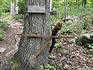 photo thumbnail #9
