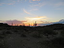photo thumbnail #1