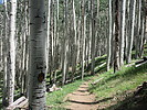 photo thumbnail #5