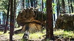 photo thumbnail #12