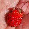 photo thumbnail #11