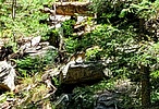 photo thumbnail #10