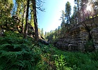 photo thumbnail #6