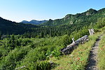photo thumbnail #8