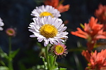 photo thumbnail #15