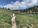 photo thumbnail #2