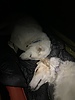 photo thumbnail #6