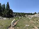 photo thumbnail #12