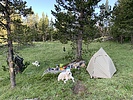 photo thumbnail #5