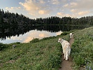 photo thumbnail #14