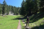 photo thumbnail #4
