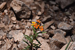photo thumbnail #7