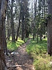 photo thumbnail #7