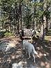 photo thumbnail #3
