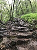 photo thumbnail #7