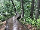 photo thumbnail #13