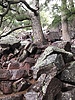 photo thumbnail #15