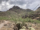 photo thumbnail #1