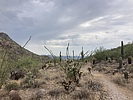photo thumbnail #4