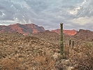 photo thumbnail #5
