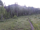 photo thumbnail #3