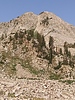 photo thumbnail #12