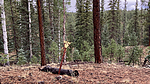 photo thumbnail #14