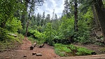 photo thumbnail #9