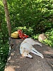 photo thumbnail #8