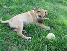 photo thumbnail #15