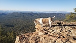 photo thumbnail #3
