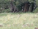 photo thumbnail #1