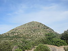 photo thumbnail #1