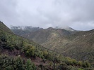 photo thumbnail #13