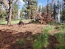 photo thumbnail #2