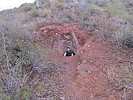 photo thumbnail #5