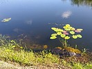 photo thumbnail #6
