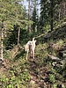photo thumbnail #5