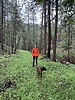 photo thumbnail #6