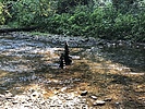 photo thumbnail #1