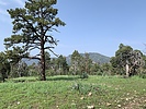 photo thumbnail #4