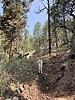photo thumbnail #7
