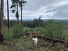 photo thumbnail #1