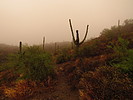 photo thumbnail #6