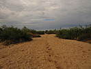 photo thumbnail #6