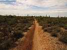 photo thumbnail #8