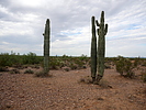 photo thumbnail #7