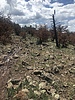 photo thumbnail #4